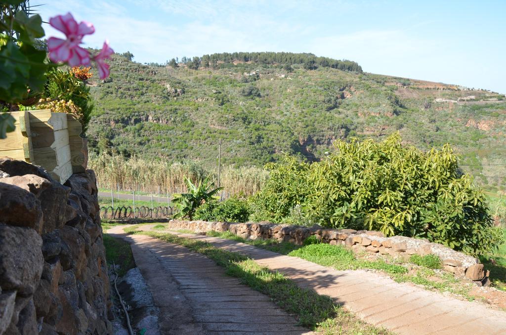 Villa La Berrera Firgas Esterno foto
